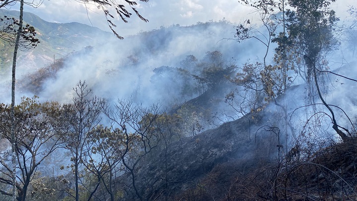 Fenómeno De El Niño Pone En Alerta A Colombia Por Aumento De Incendios Forestales 7409